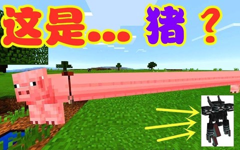 我的世界猪有什么用