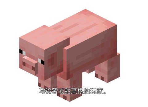 我的世界猪有什么用[图1]
