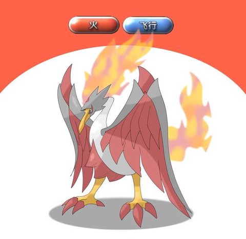 口袋妖怪飞行系怕什么