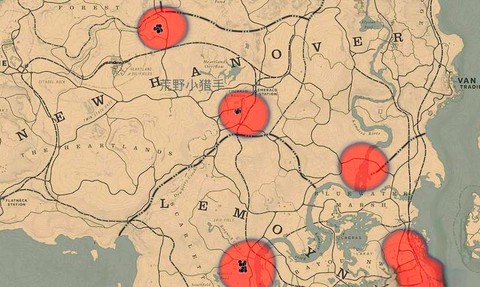 荒野大镖客怎么开任务