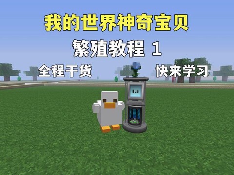 我的世界怎么孵小鸡