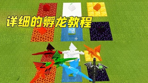 我的世界怎么孵小鸡[图2]